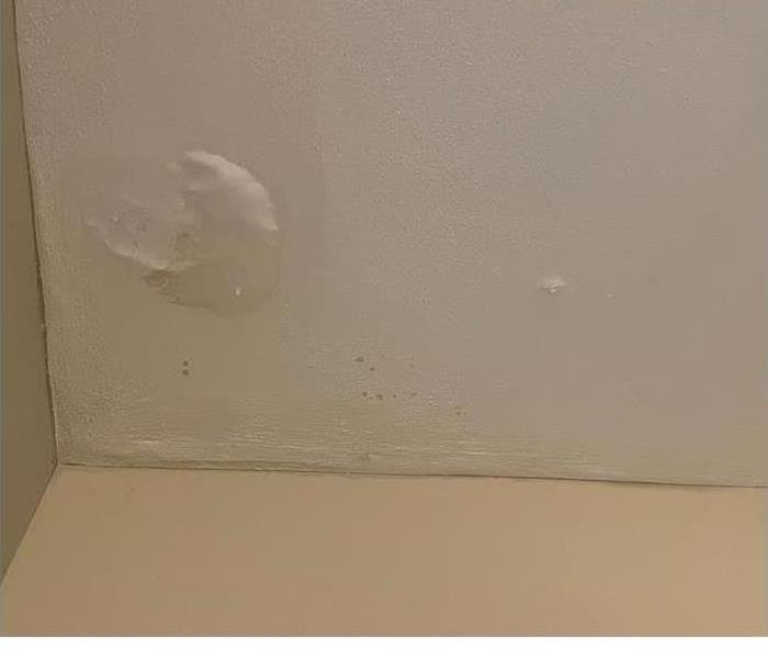 Water Damage on Walls